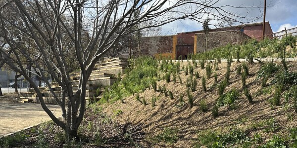 El 23 de marzo abrirá sus puertas el Parque Ambiental Torre de la Vila